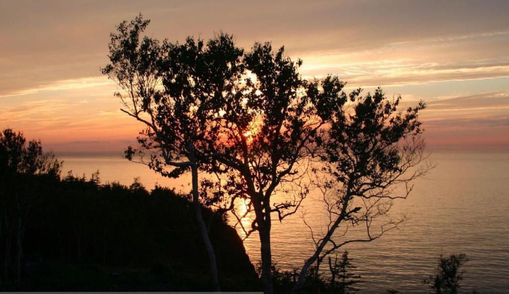 Cliffside Bed & Breakfast Culloden Bagian luar foto